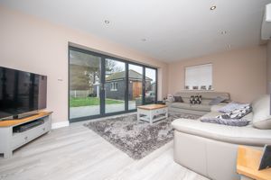 THE CONIFERS- click for photo gallery